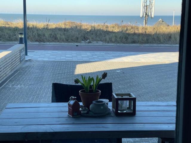 B&B Zeespiegel Zandvoort Exterior foto