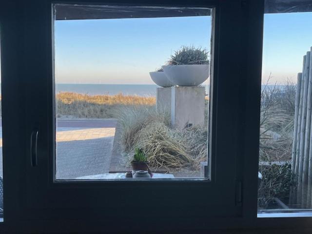 B&B Zeespiegel Zandvoort Exterior foto
